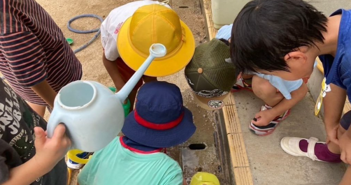 スイカのたねから？！ instagram